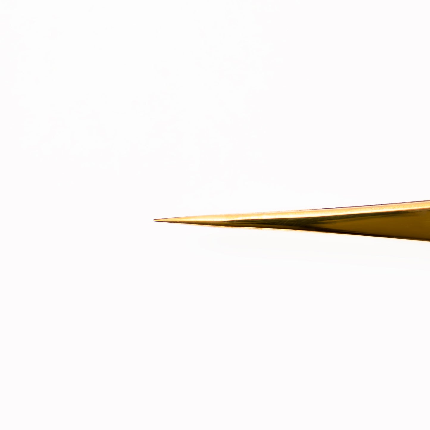 Pinza de Precisión